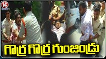 Police Arrest BJYM Leaders For Protesting Against Schools Collecting High Fees _ V6 News