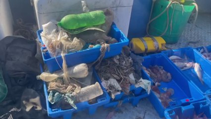 Più plastica che pesci, Marevivo lancia l'allarme