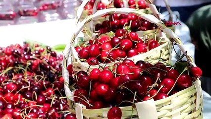 Tekirdağ Uluslararası Kiraz Festivali Başladı