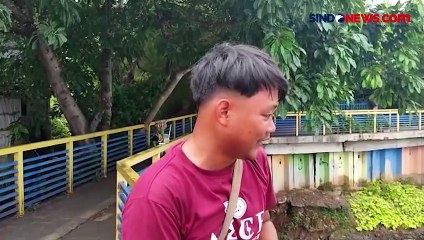 Viral, Ratusan Ikan Mujair Mati Mendadak di Danau Sunter