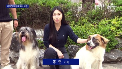 일제시대 때 멸종…토종견 ‘바둑이’ 다시 멍멍