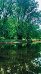 Sunset di Pantai: Suara Alam untuk Membawa Ketenangan Pikiran Anda"
