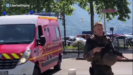 Dos niños y un adulto muy graves tras ser apuñalados en un parque al este de Francia