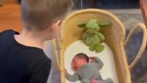 Toddler meets his little baby brother for the first time and holds him