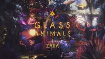 Glass Animals - Intruxx (Visualiser)