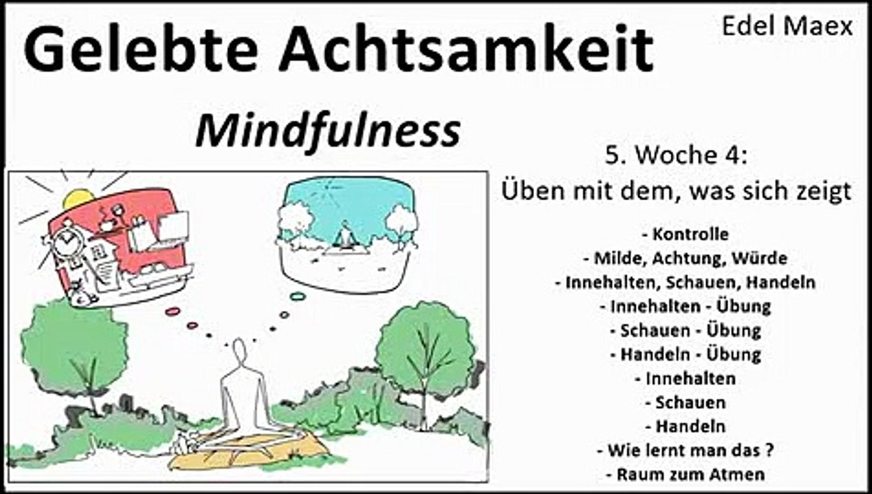 Gelebte Achtsamkeit 5. Woche 4: Üben mit dem, was sich zeigt