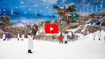 Snow Abu Dhabi: Complete Guide to Ticket Prices, Timings, and Must-See Attractions