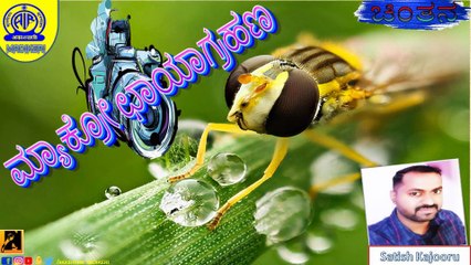 KANNADA TALK | MACRO PHOTOGRAPHY | SATISH KAJOORU