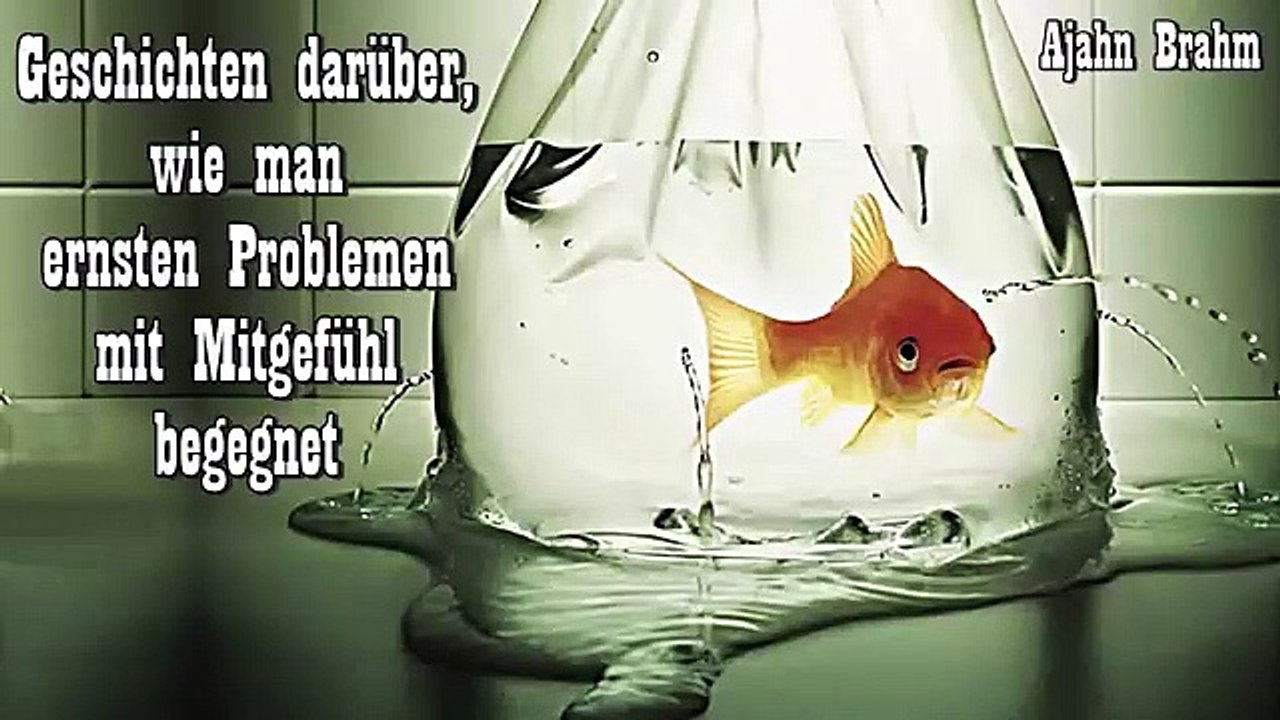 Geschichten darüber, wie man ernsten Problemen mit Mitgefühl begegnet - Ajahn Brahm