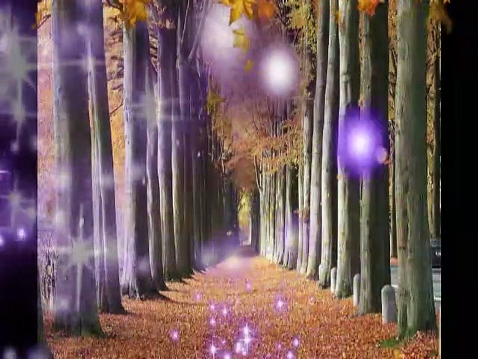 ASTROLOGIE - LES SIGNES DANS LE ZODIAQUE