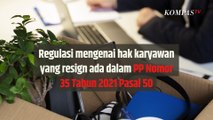 Ini lho Syarat dan Hak bagi Karyawan yang Resign| SINAU