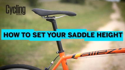 Optimize Your Ride: The Essential Guide to Bicycle Saddle Height 🚴‍♂️
