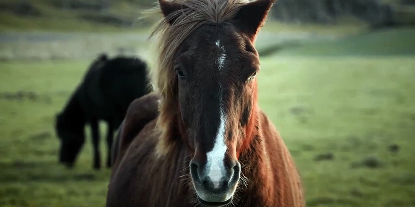 ICELAND - DJI Mavic 3  Cinematic Travel Video