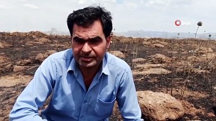 İslahiye'deki tarla yangını çiftçilere milyonlarca lira zarar verdi