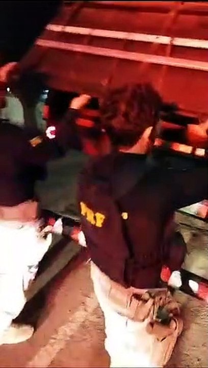 PRF faz maior apreensão de maconha do ano no Paraná: 4,6 toneladas