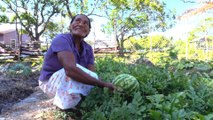 Indígenas miskitas en Honduras le apuestan a la agricultura sostenible y ancestral