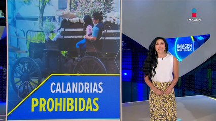 Toluca incumple con protección a los animales