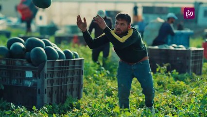 خلونا نشوف موسم البطيخ في غزة والأكلة خاصة بهالموسم وهي فتة العجر