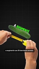 La taille moyenne du pénis augmente depuis 30 ans ??