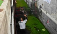 Un hincha de Estudiantes tiró a otro a la fosa de agua del estadio UNO