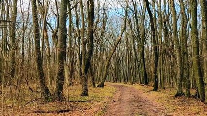 Uplifting Music for Happy Vibes Top Models, Music video 2023