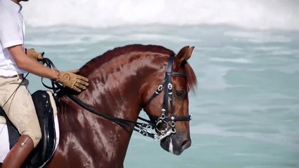 THE VALLEY OF DREAMS - Stive Morgan