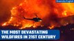 Canada wildfires wreak havoc | Know 5 most destructive wildfires in 21st century |  Oneindia News