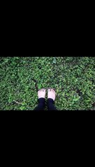 40. CANAL BETA MEDITANDO AL CAMINAR POR - KIKO TAROT ‐