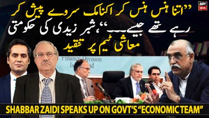 "Itna hans hans kar economic survey pesh karrahay the jaise...," Shabbar Zaidi
