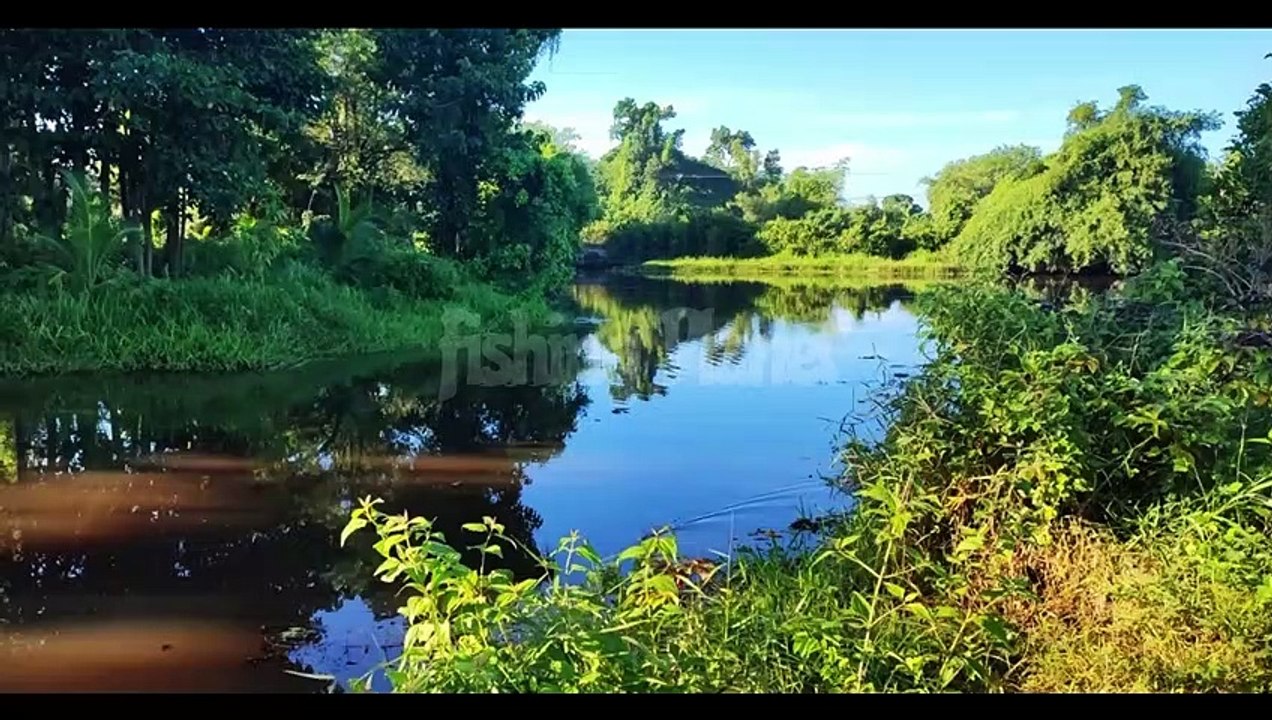 Lesni Vila Exploration