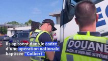 Opération Colbert : les douanes luttent contre le tabac de contrebande