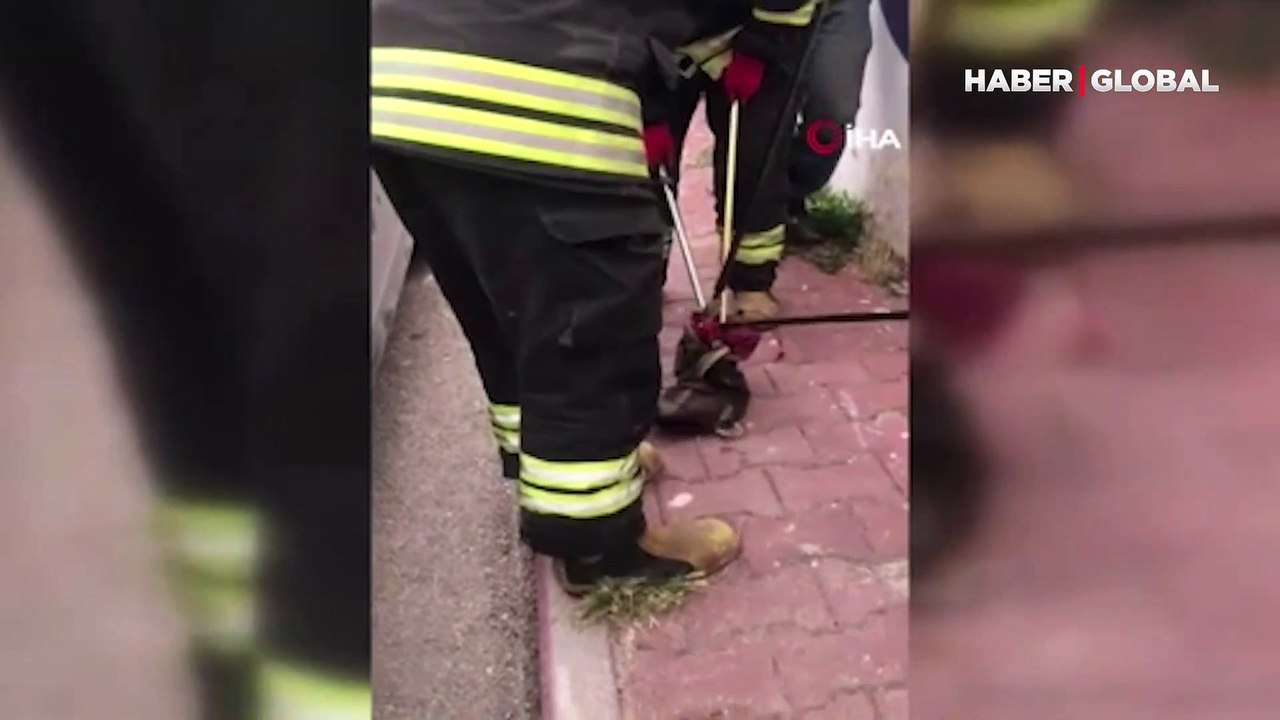 Konya’da, otomobilinin içine 1,5 metrelik zehirli yılan giren şahsın imdadına itfaiye koştu
