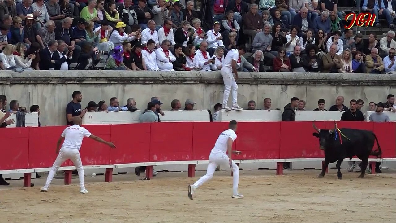 CASTELLA manade Saumade