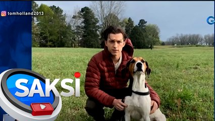 Tom Holland, magpapahinga nang isang taon sa pag-aarte | Saksi