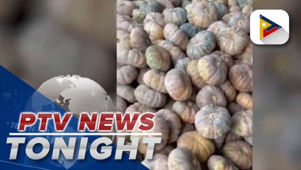 DA eyes to help farmers sell surplus squash in Kadiwa stores