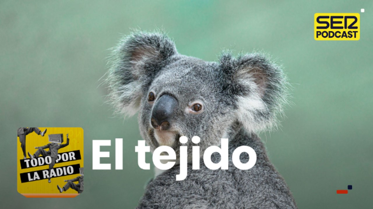 El tejido