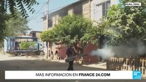 Alerta por aumento de casos y muertes por dengue en Perú