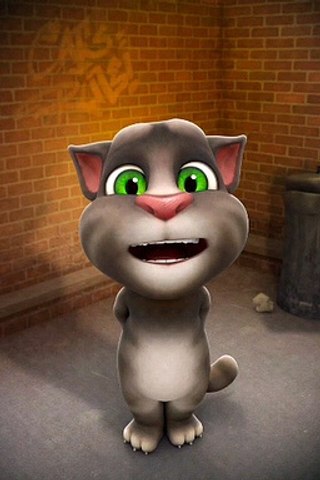 TalkingTom(30)