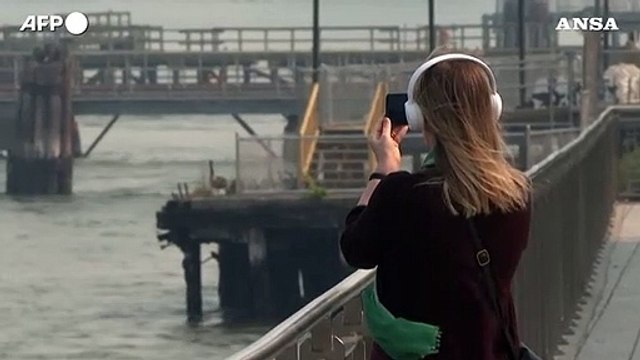 Incendi in Canada, fumo e cenere soffocano New York