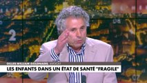 Gilles-William Goldnadel : «Dire la réalité, constater, jour après jour le lien entre insécurité et immigration, ce n'est jamais le bon moment»