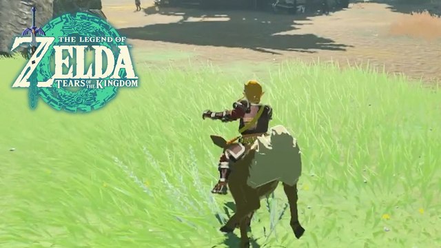 Les animaux de Tabos Zelda Tears of the Kingdom : Où trouver le cheval squelette, le cerf et l'ours ?