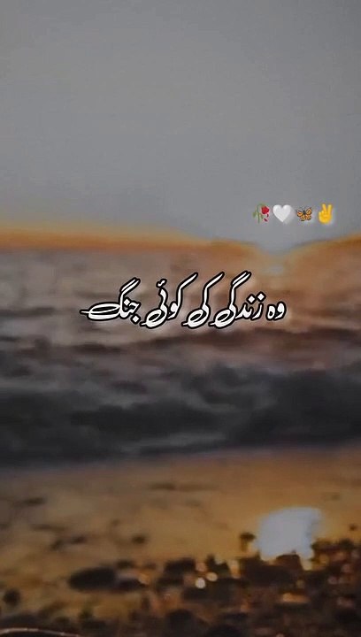 V best video for watching