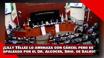 ¡VEAN! ¡Lilly Téllez lo amenaza con cárcel pero es apaleada por el Dr. Alcocer, Srio. de Salud!