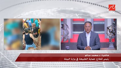 رئيس قطاع حماية الطبيعة في وزارة البيئة يكشف معلومات هامة عن هجوم سمكة القرش في الغردقة.. ويؤكد: سيتم وضع أجهزة رصد لتتبع سلوكيات القرش في البحر الأحمر