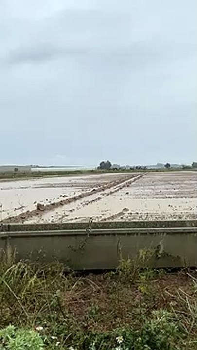 Un aguacero inunda la huerta de Fresno de la Vega y arruina cultivos de pimiento y tomate