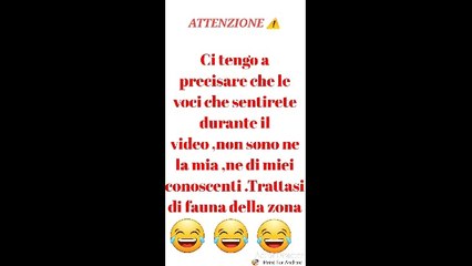 6°RADUNO COLLI BROFFERIANI