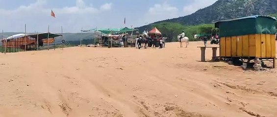 पुष्कर के धोरों में धड़ल्ले से दौड़ रही हैं जीप