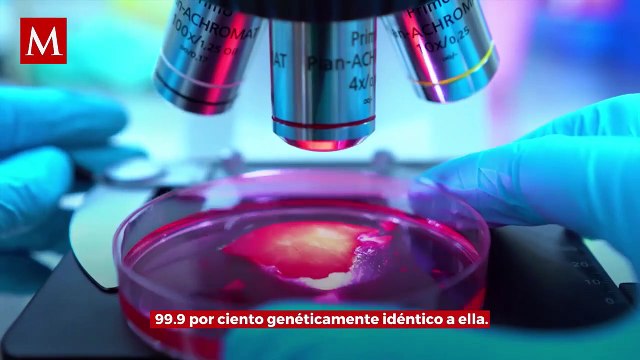 El extraño caso de un cocodrilo hembra que se embarazó sin intervención de un macho