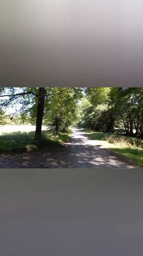 Parc du château de Vizille Musée de la Révolution française Domaine de Vizille #vizille #france (10)