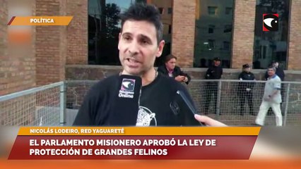 El parlamento misionero aprobó la ley de protección de grandes felinos